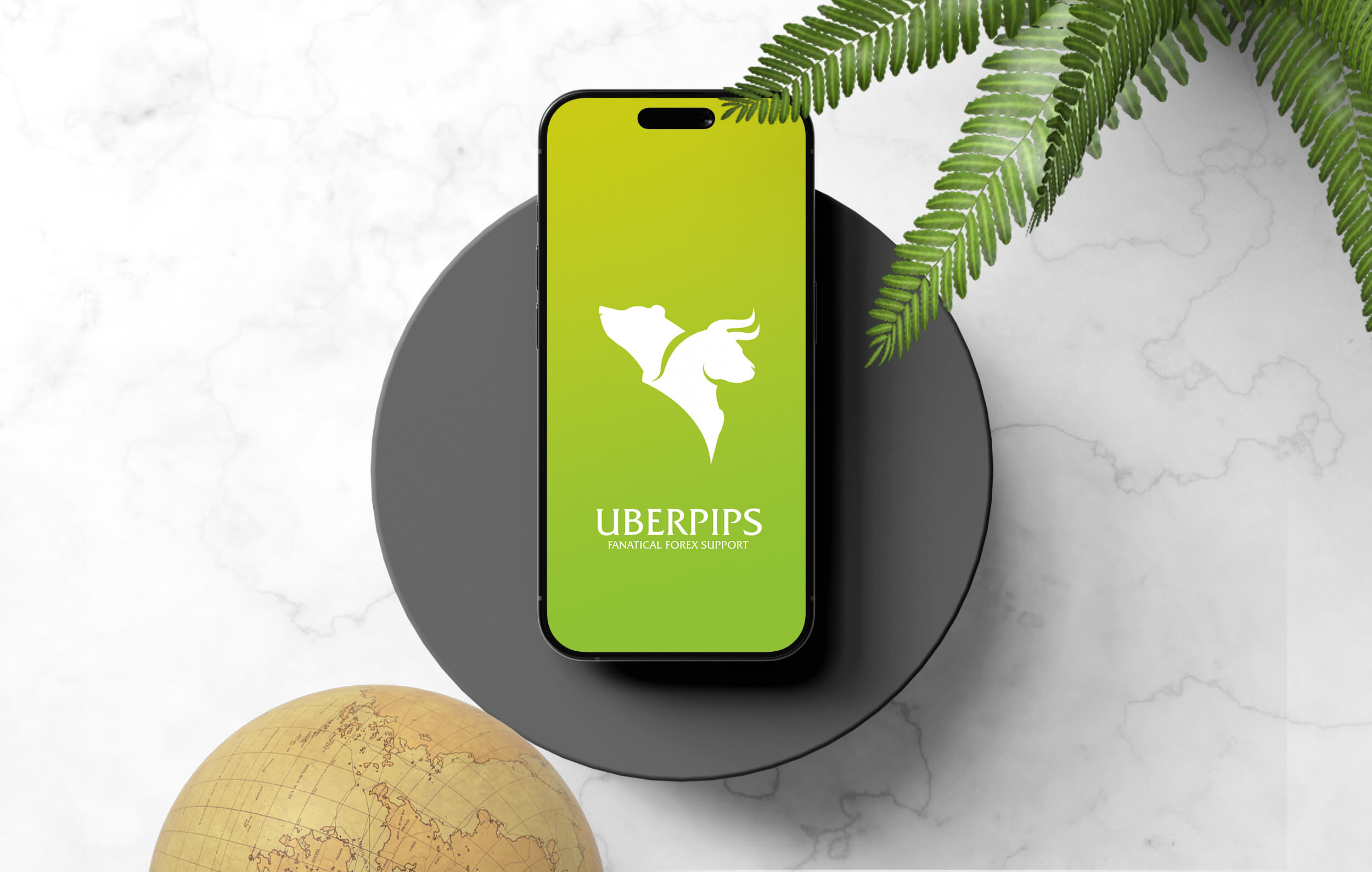 Uberpips-Fanatical-Forex-Support-brand-identity-design-by-Artisticodopeo-Designz-01 (6).jpg Image